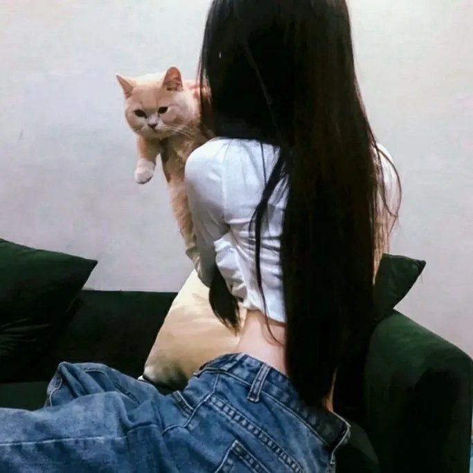 每况愈下